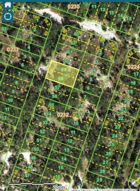 1196 HARBOUR PALM COURT