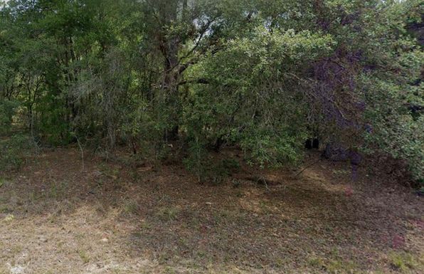 2396 W MAGENTA DRIVE