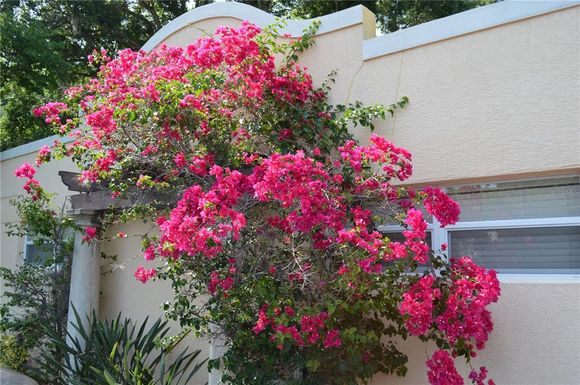 1757 HILLVIEW STREET UNIT 5