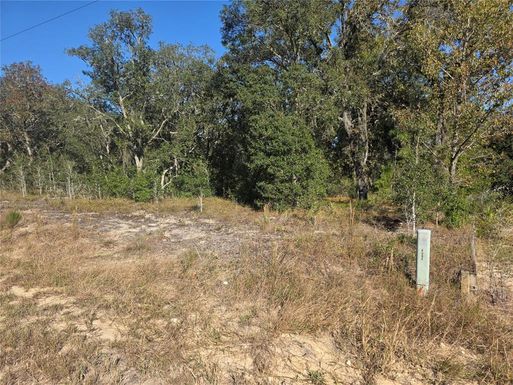 Lot 31 SW VIBURNUM ROAD