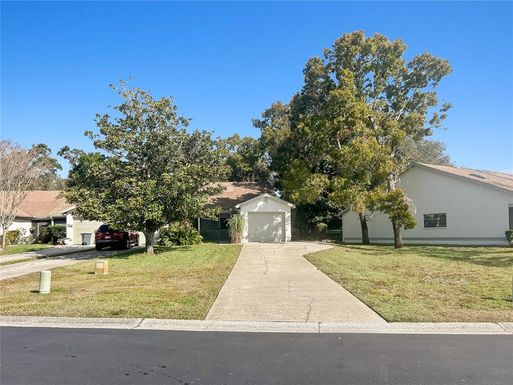 11746 SPRING TREE LANE