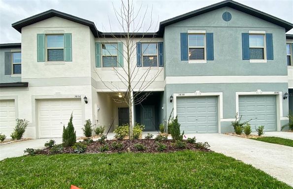 3836 CAT MINT STREET