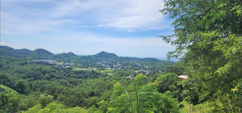 Carr. 412, Km. 4.8 CALLE PASCUAL NIEVES, BO. CALVACHE