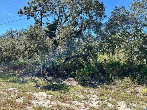 WOODSTORK WAY