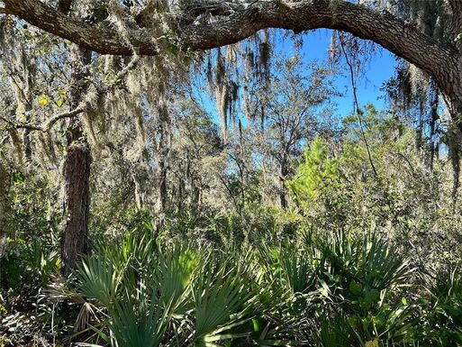 WOODSTORK WAY
