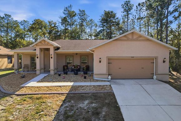 9249 N SAPONARIA DRIVE