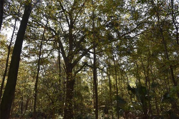 1220 SE US HIGHWAY 301