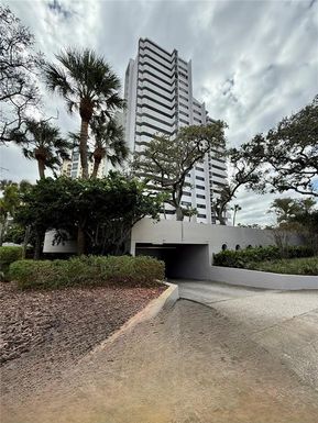 4141 BAYSHORE BOULEVARD UNIT 1203