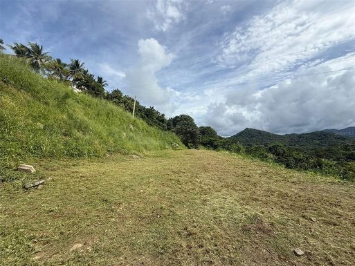 10 RAINFOREST AND SEA VIEW RESORT,