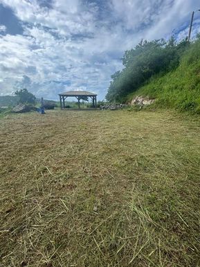 10 W RAINFOREST AND SEA VIEW