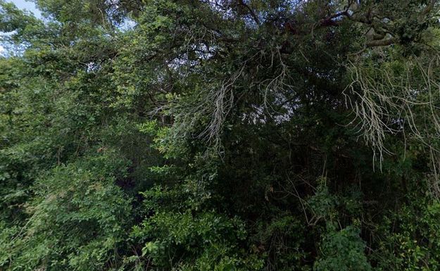 3288/3302 E ALISA LANE