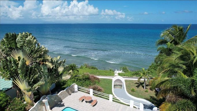 411 BRAVOS DE BOSTON