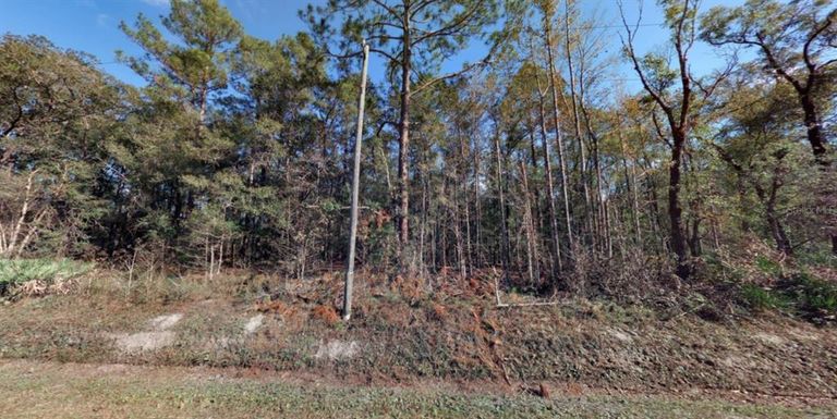 10410 VAUGHAN AVENUE