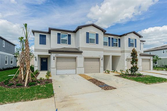 32065 POWDERPUFF MIMOSA