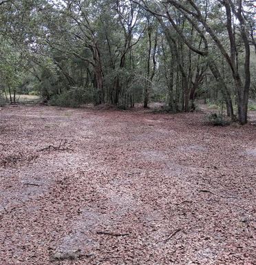 33174 TOMBSTONE STREET