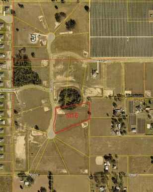 10023 WHITE EGRET DRIVE