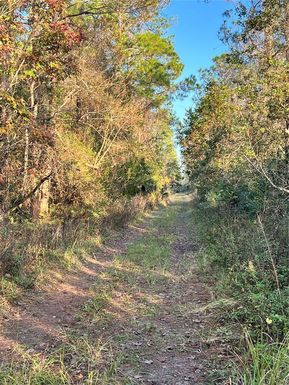 UNIVERSITY HIGHLANDS/ DELAND CROSSINGS