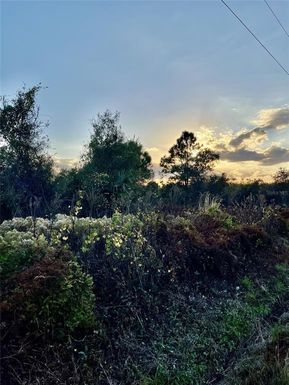 14416 NW 252ND STREET