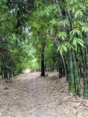 0 US HIGHWAY 27 HIGHWAY