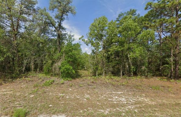 6502 N MATHESON DRIVE