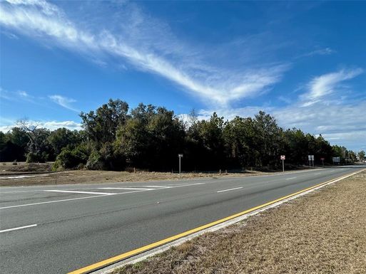 TBD US HWY 19 (N YOUNG BLVD)