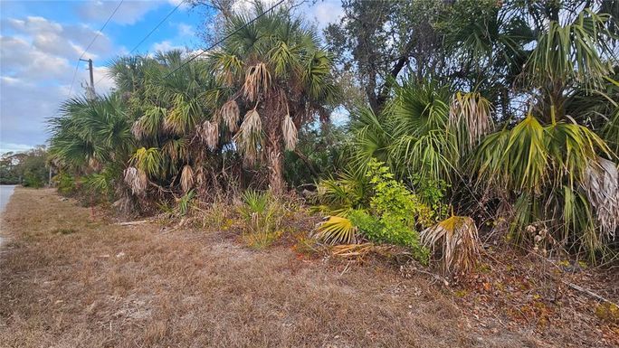 15464 PIEDMONT AVENUE