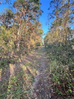 UNIVERSITY HIGHLANDS/ DELAND CROSSINGS