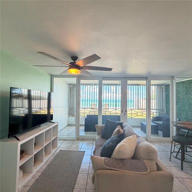 201 BARRIO MAMEYES UNIT 102