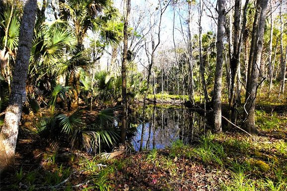 4721 LINGO GROVE ROAD