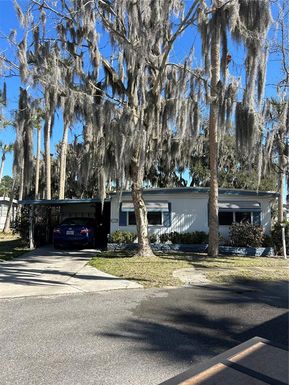 40 SABAL PALM CIRCLE