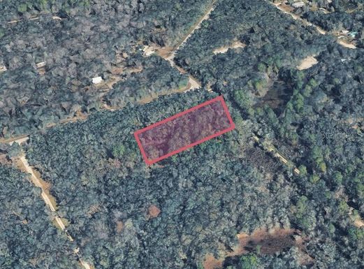 9211 ROUSSEAU STREET