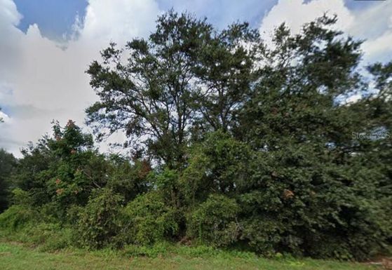 627 CITRUS GROVE BOULEVARD N