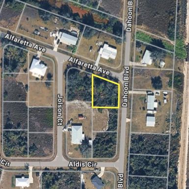 137 DAHOON BOULEVARD