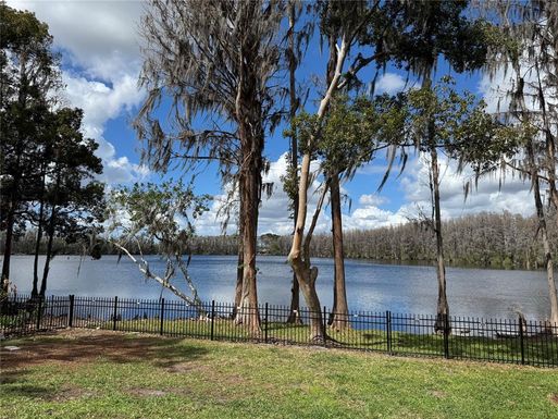 21001 LAKE VIENNA DRIVE