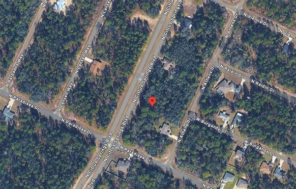 8811 N CITRUS SPRINGS BOULEVARD