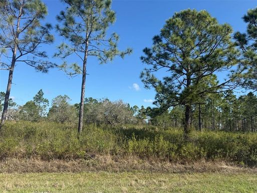 15942 NW 312TH STREET