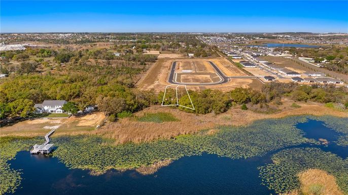 MARIGOLD BELLE CIRCLE