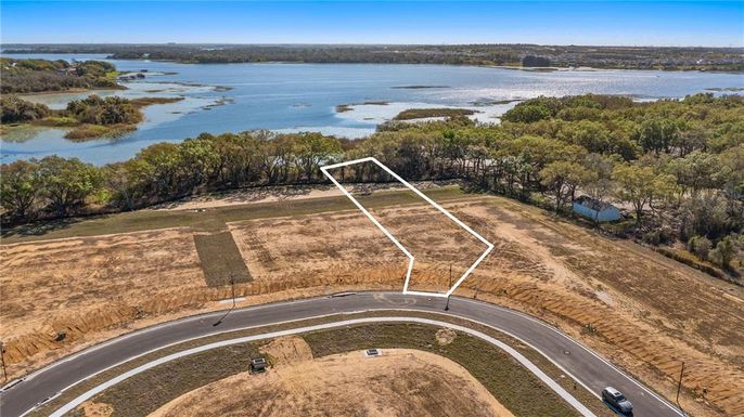 MARIGOLD BELLE CIRCLE