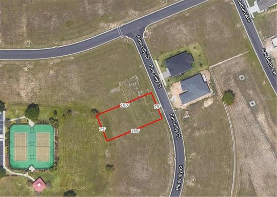 253 PINE LILLY COURT