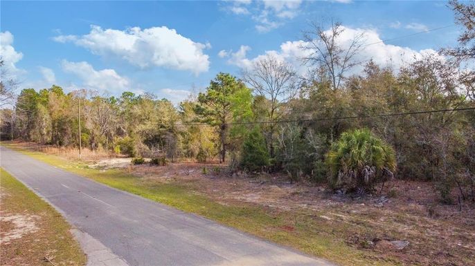 2257 N STAMPEDE DRIVE