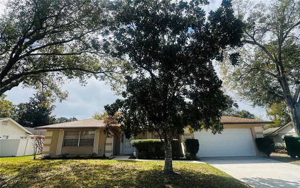 141 STONEY RIDGE DRIVE