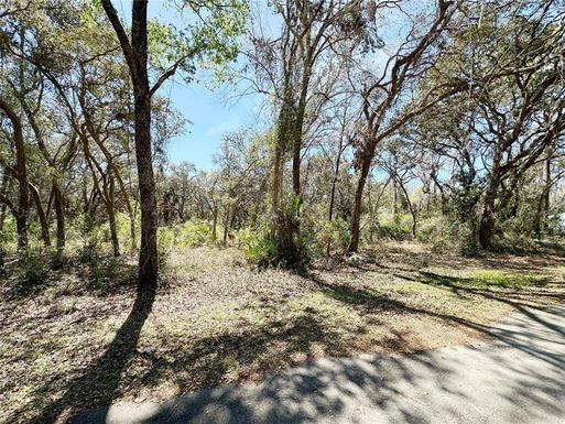 TBD NW 110TH CIRCLE, LOT 3