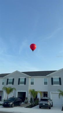 32364 TURTLE GRACE LOOP