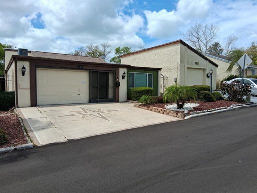 12213 SADDLE STRAP ROW