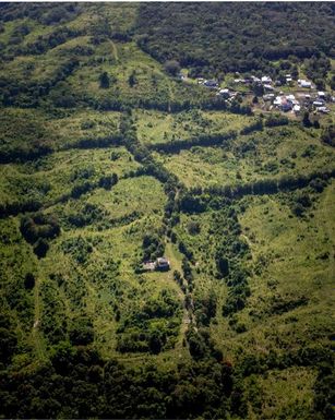 Carr 119 INT. 448 KM 3.7 ROAD