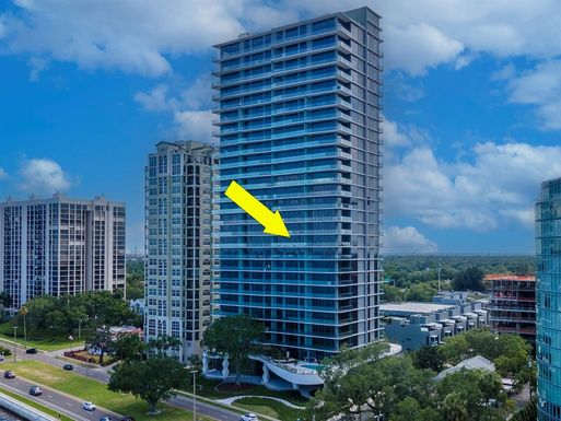 3101 BAYSHORE BOULEVARD UNIT 1102