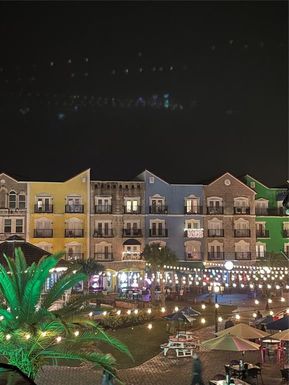 101 PALM HARBOR PKWY UNIT C328