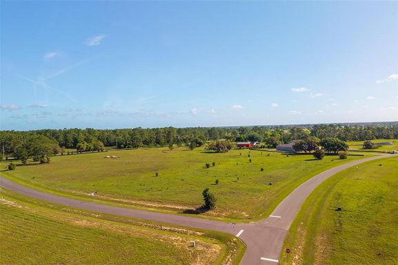 38529 WOODED MEADOW DRIVE