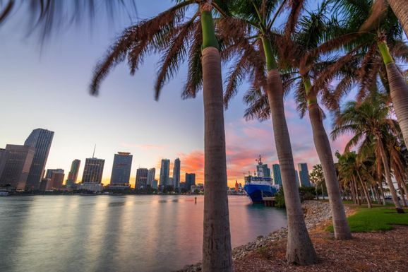 Thinking of Moving to Miami?