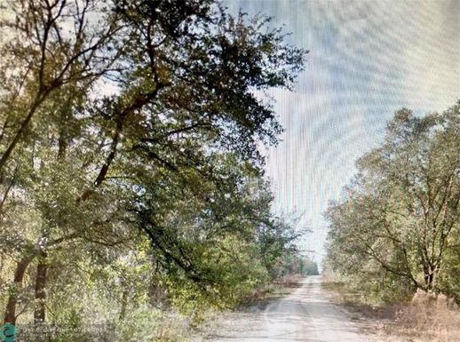 Lot 15 154 Avenue, Other City - In The State Of Florida, FL 32696
